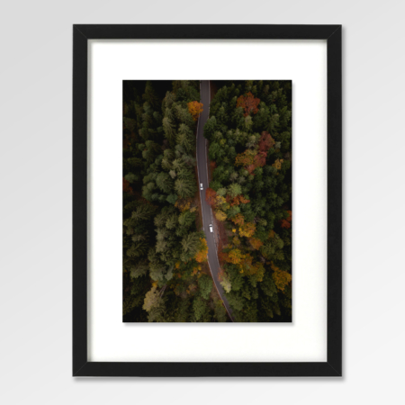 Autumn Road