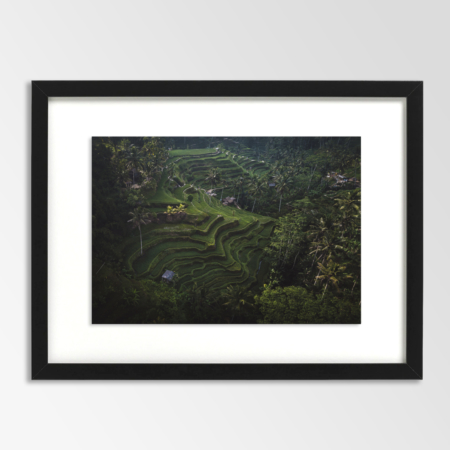 rice terraces Vietnam